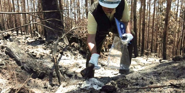 iniseg perito incendios