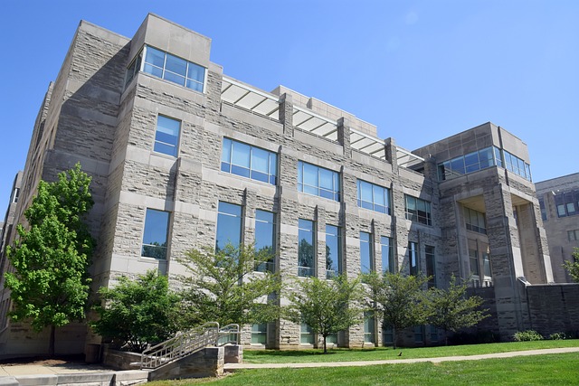 Maestría en Administración de Empresas de Blackwell University