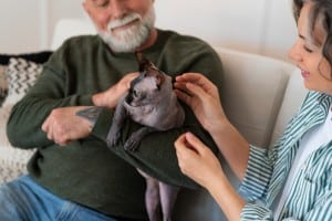 Máster en Terapia Asistida con Animales de ISEP