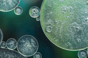 Maestría en Biología Molecular, Celular y Genética de ESIBE