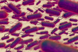 Máster Universitario en Microbiota Humana de UNIR