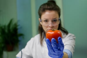 Máster en Seguridad Alimentaria del Colegio Oficial de Veterinarios de Madrid