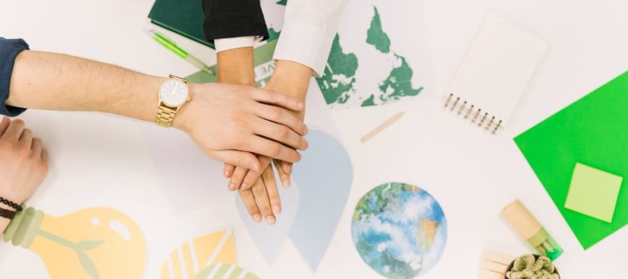 Master’s in CSR and Sustainability de CMI Business School