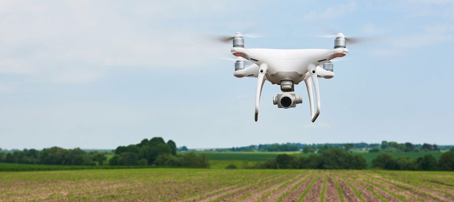 Máster en Dirección de Agronegocios ENAE