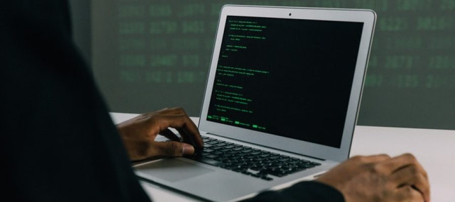 pexels-mati-mango-6330644